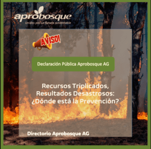 Declaración Aprobosque, Incendios Forestales Ñuble-Bío Bío