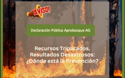 “DECLARACIÓN APROBOSQUE, INCENDIOS FORESTALES ÑUBLE -BÍO BÍO”